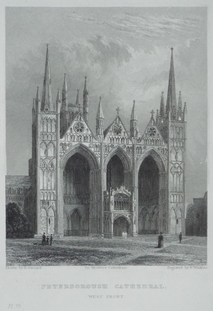 Print - Peterborough Cathedral. West Front. - Winkles